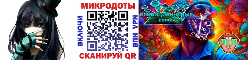 shop Telegram  Гороховец  Галлюциногенные грибы Psilocybe 
